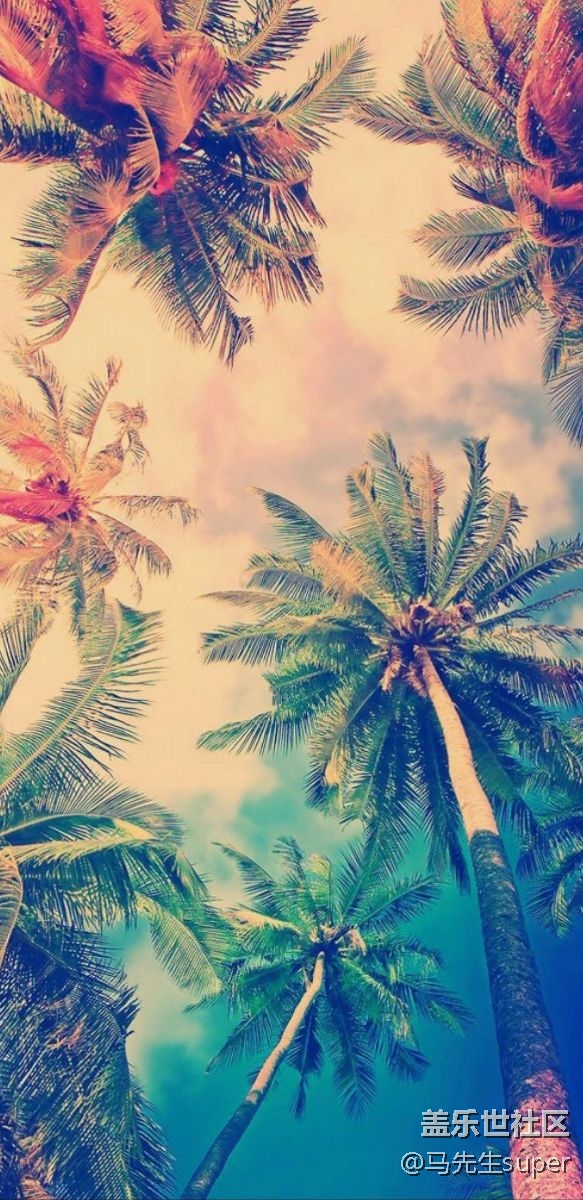 分享手機存的一些壁紙