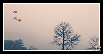 一個(gè)人的朝圣