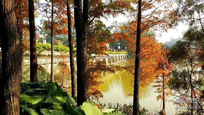 2018年第一貼?????