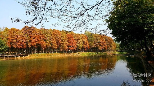 2018年第一貼?????