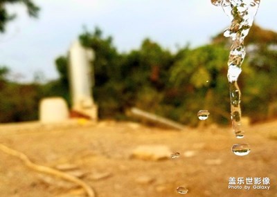 唯有快才能捕捉精彩瞬間