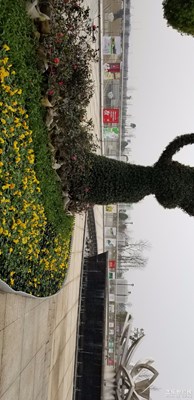 美麗湘潭。。。。