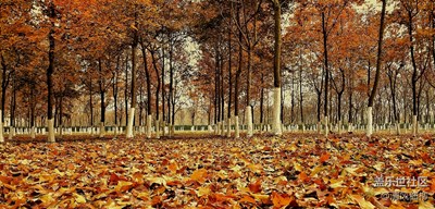 【回望2017】——我的三星S7edge伴侶