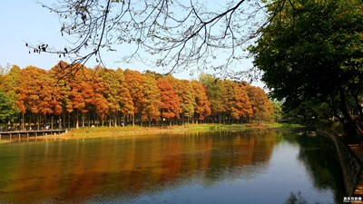 隨手拍---新年第一拍