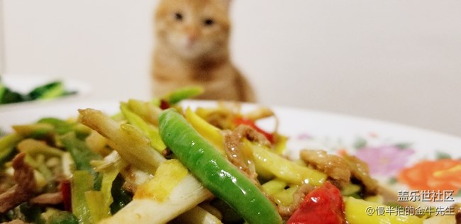 家有萌喵_隨手拍