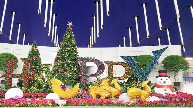 平昌火炬手之旅 平昌火炬手之旅