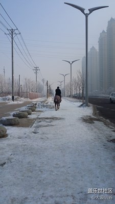 你有寶馬，我也有寶馬