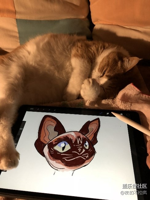 防水，幾個(gè)問題咨詢下