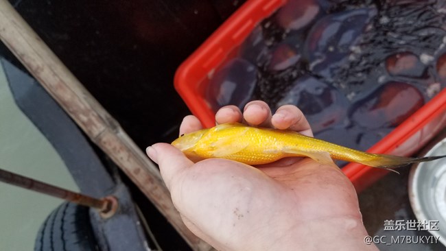 用了快2年 S7 edge的電池容量下降好快啊。等S9好辛苦！