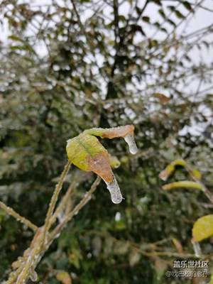 寒流來襲，被困在高速上，拍拍美景，換種心情。