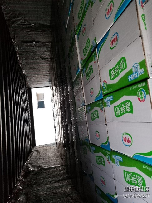 喵星人 工作不忘拍照