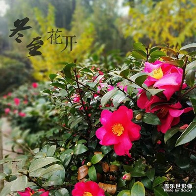 S 7第一次來發(fā)帖哈