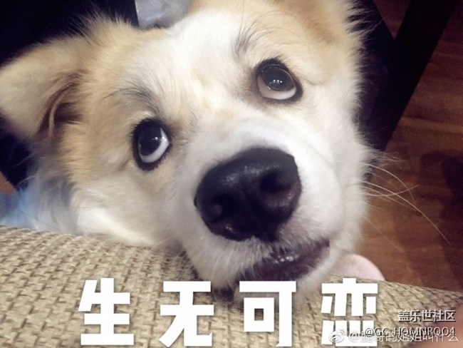 換屏多少錢？？