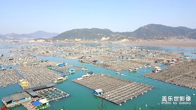 霞浦……攝影人的天堂（手機(jī)直出東安魚排）
