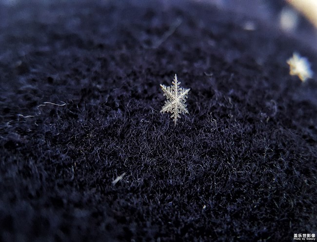 每周精帖匯【第87期：新春好禮，S8勃艮第紅駕到！】