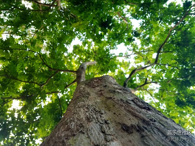 每周精帖匯【第87期：新春好禮，S8勃艮第紅駕到！】