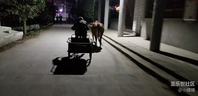 黑暗中前行！