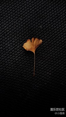 【在路上】+隨“星”