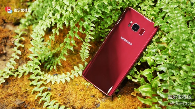 傾城之紅 三星蓋樂世 S8勃艮第紅美圖賞