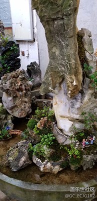 想買一個(gè)回家擺