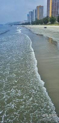 海灘、日落、貝殼、鮮花……2018.01.21一個發(fā)呆的日子[囧]