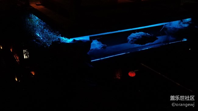 南京老門東夜游