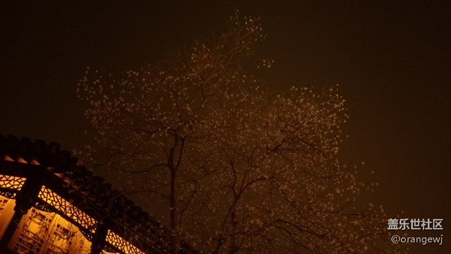 南京老門東夜游