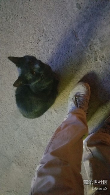 被一只小可愛(ài)碰瓷了