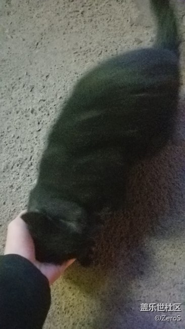 被一只小可愛(ài)碰瓷了