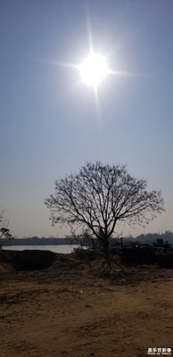 隨便拍照，多多指導！