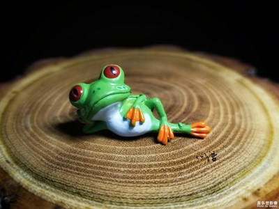 【三星蓋樂(lè)世s8+】童趣