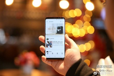 美艷不可方物，勃艮第紅S8