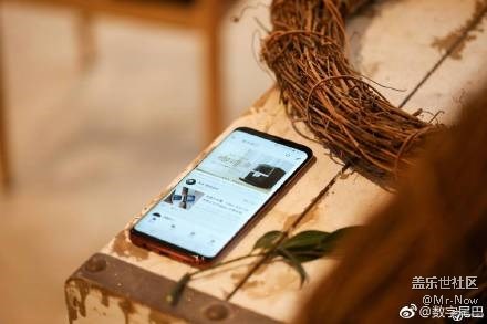 美艷不可方物，勃艮第紅S8