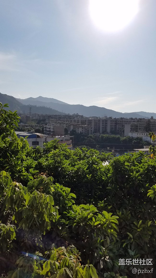 大家都曬雪，我只有曬一下陽(yáng)光。