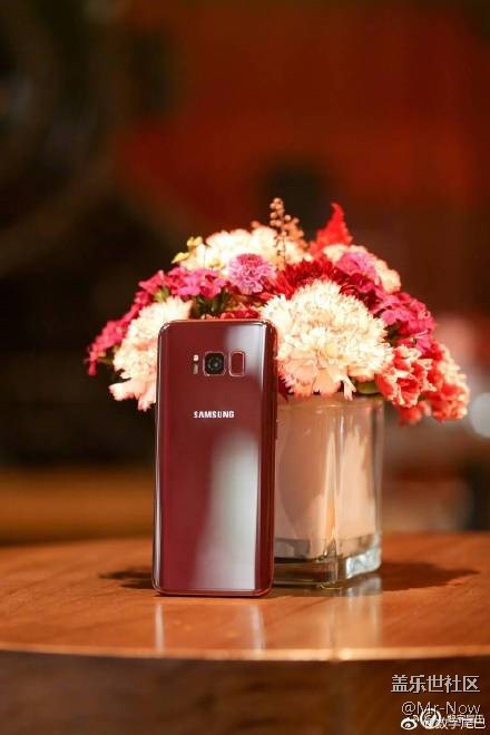 美艷不可方物，勃艮第紅S8