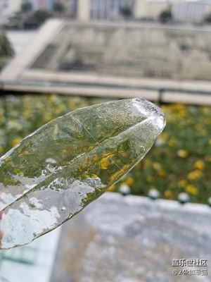 大南昌終于下雪了，雪后的冰凍更美??