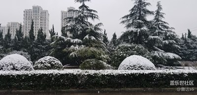 昆山不下雪的城市今年下了暴雪