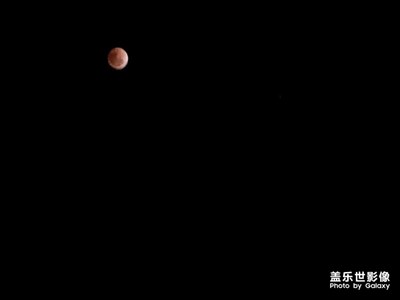 月似驕陽青春豆