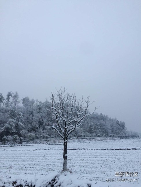 三星S8拍照，東城雪景