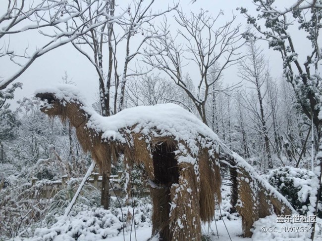 三星S8拍照，東城雪景