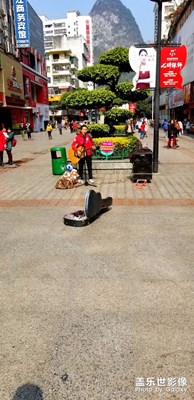 唱?jiǎng)e安的啵