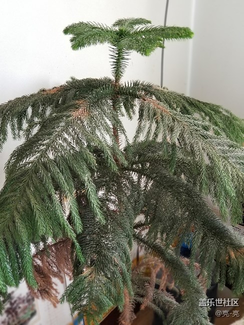 三星note8相機(jī)還是挺給力的，測(cè)試的相片樣張