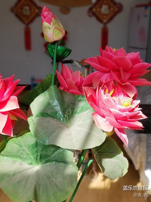 三星note8相機(jī)還是挺給力的，測(cè)試的相片樣張