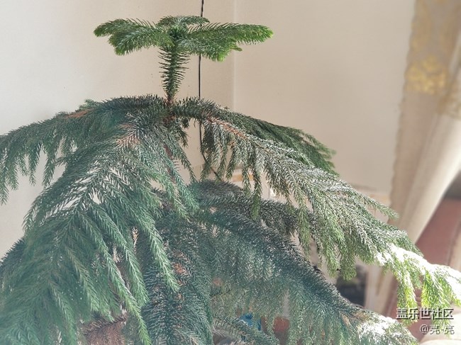 三星note8相機(jī)還是挺給力的，測(cè)試的相片樣張