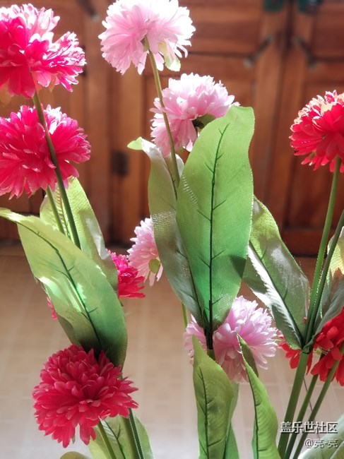 三星note8相機(jī)還是挺給力的，測(cè)試的相片樣張