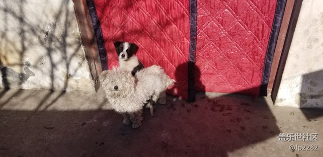 note8, 息屏?xí)r間怎么它自己老是調(diào)時(shí)間啊。