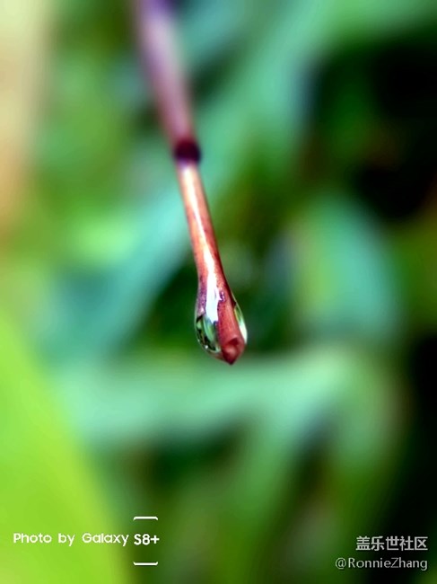 歡迎各路大神吐槽