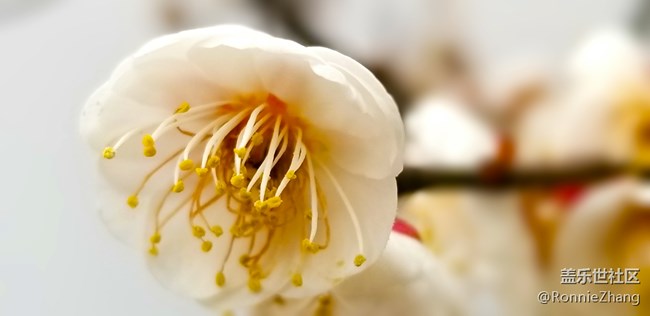 歡迎各路大神吐槽