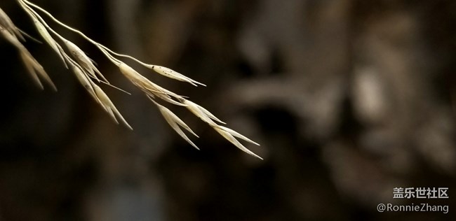 歡迎各路大神吐槽