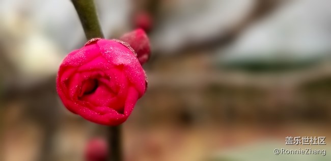 歡迎各路大神吐槽